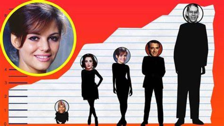 How Tall Is Claudia Cardinale? Height Comparison! YouTube