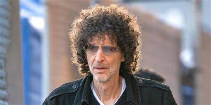 Howard Stern's Book Wired For Youth