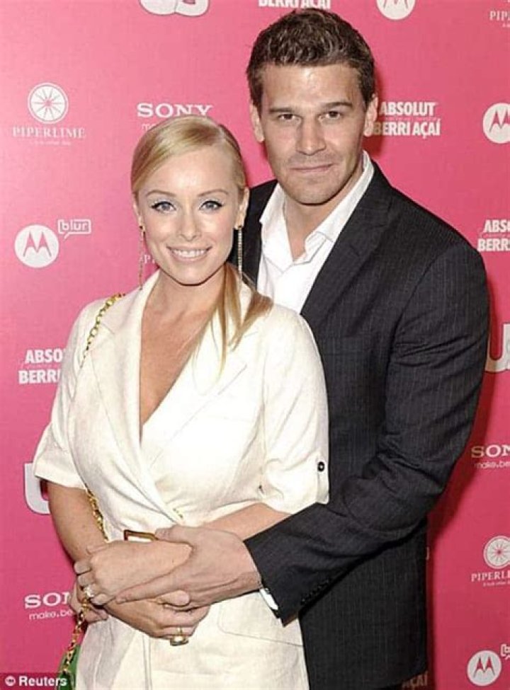 Ingrid Quinn ExWife Of David Boreanaz. What Is She Doing Now?