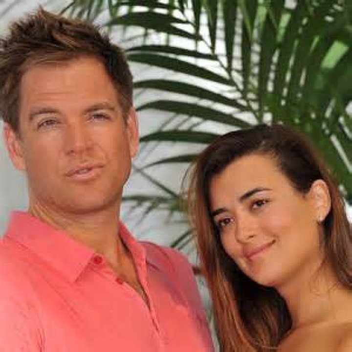 Inside Cote De Pablo&rsquo;s Friendship with Mark Harmon Whom She Calls a