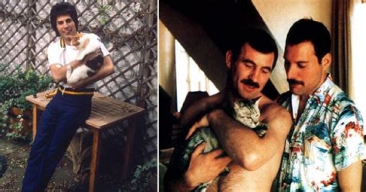 Investigating Freddie Mercury's Progenies