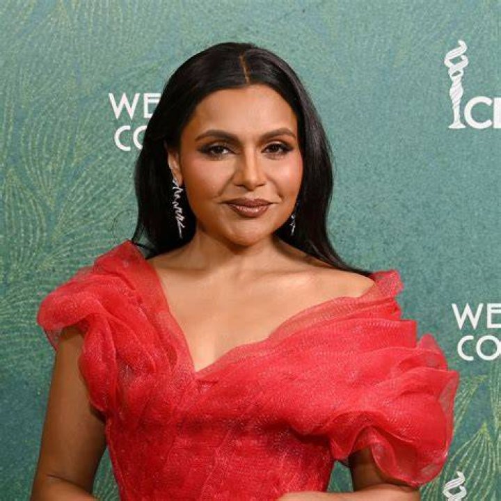 Is Mindy Kaling's Baby Daddy B. J. Novak? An Investigation