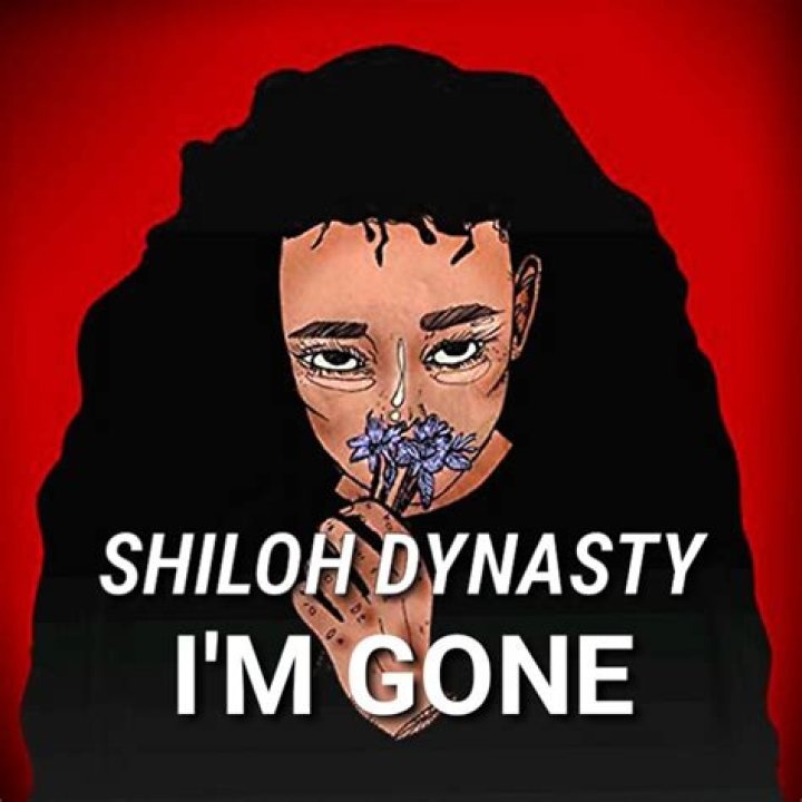 Is this Shiloh dynasty? r/ShilohDynasty