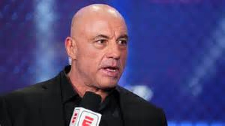 Joe Rogan says he allows his kids to hit him 'My kids are allowed to