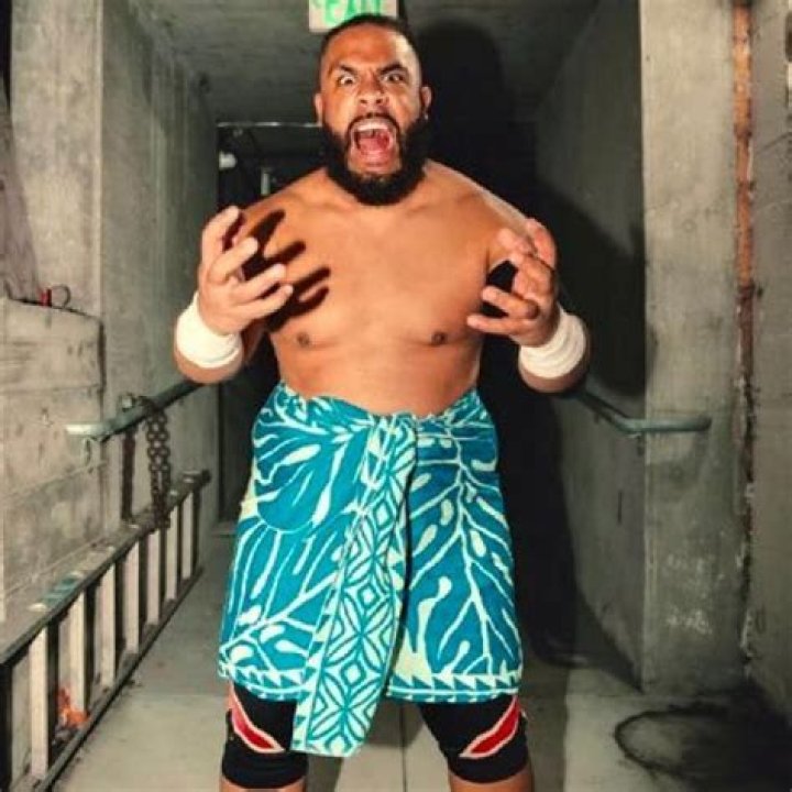 Journey Fatu Profile & Match Listing Wrestling Database (IWD)