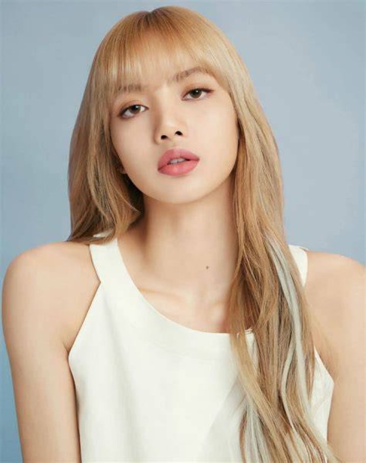 Lisa From BLACKPINK Was Not Entirely Nude At Crazy Horse, As Many Fans
