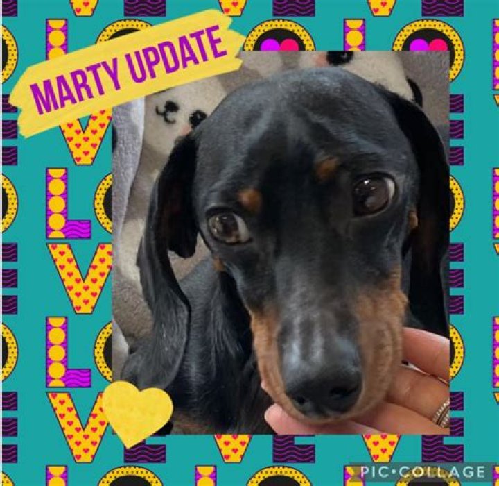 Marty Posts Update Following Surgery