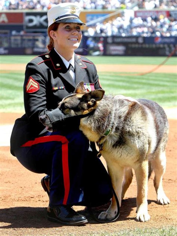 Megan Leavey Today Life, Marriage & Dog Updates In 2024