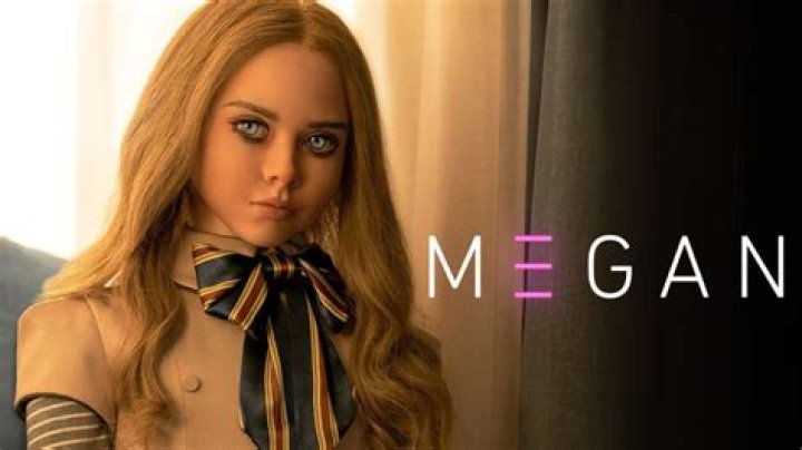 Megan's Missing Photos The Mystery Unfolds