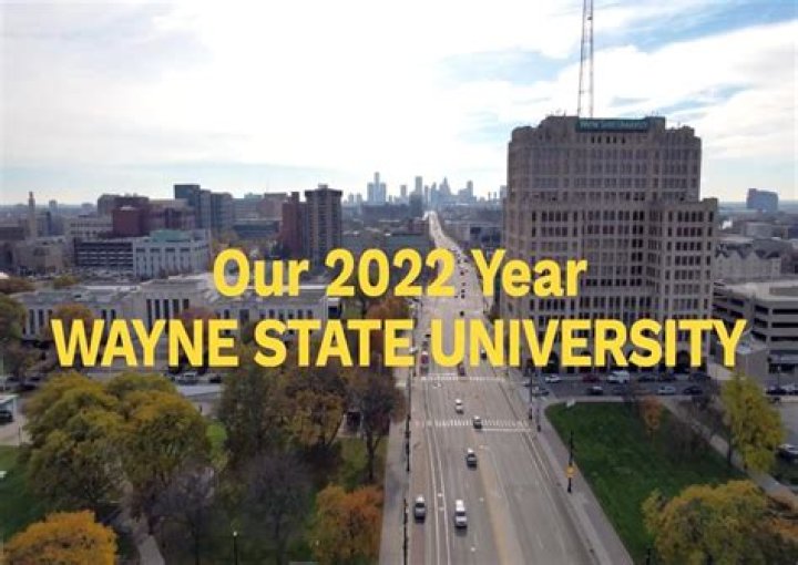 Melanie OLMSTED Wayne State University, Michigan WSU School of