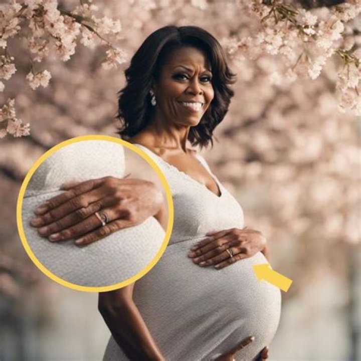 Michelle Obama Pregnant The Truth Behind The Headlines