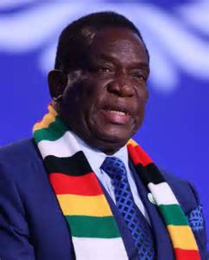 MNANGAGWA'S SON EYES PARLY SEAT Mafaro