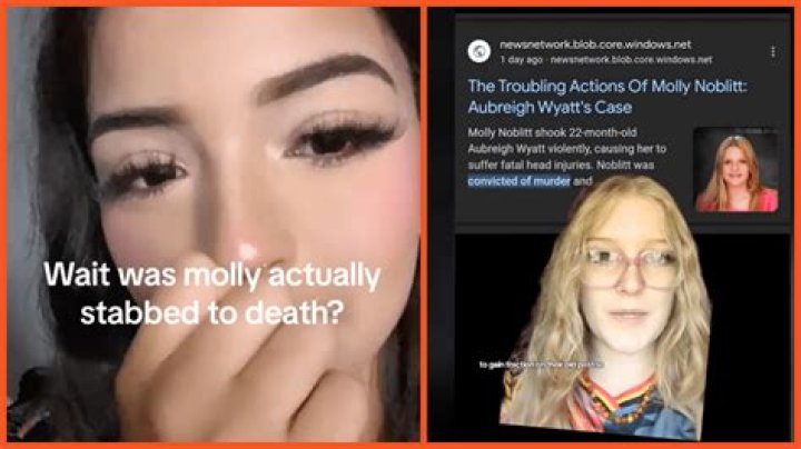 Molly Noblitt Arrested Understanding The Circumstances And Consequences