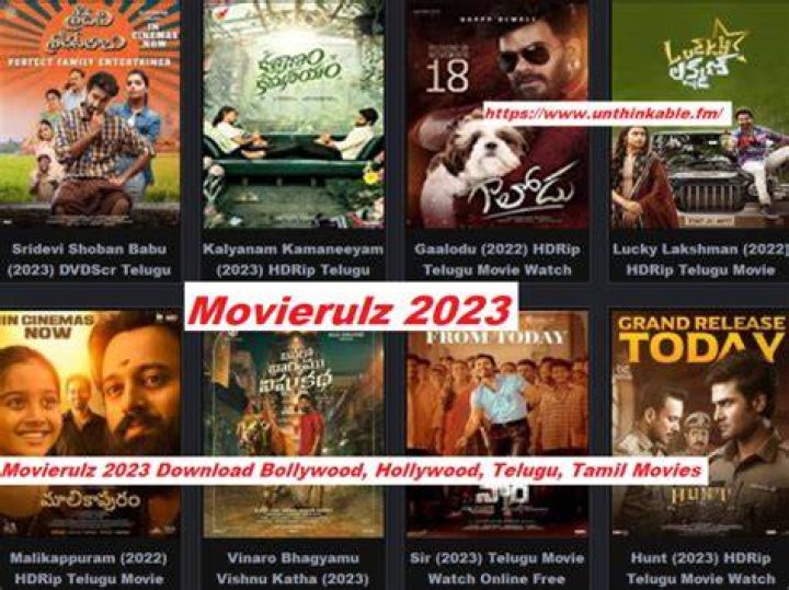 Movierulz Watch Bollywood, Telugu, Tamil, Malayalam Movies Online for