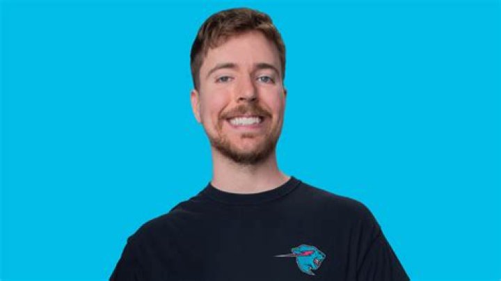 MrBeast Social Wiki Social Bluebook