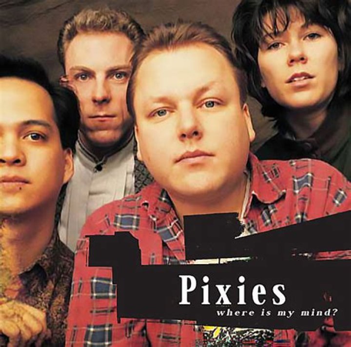 My only swerving Pixies Band, Music Pics, Old Music, Music Stuff, Word