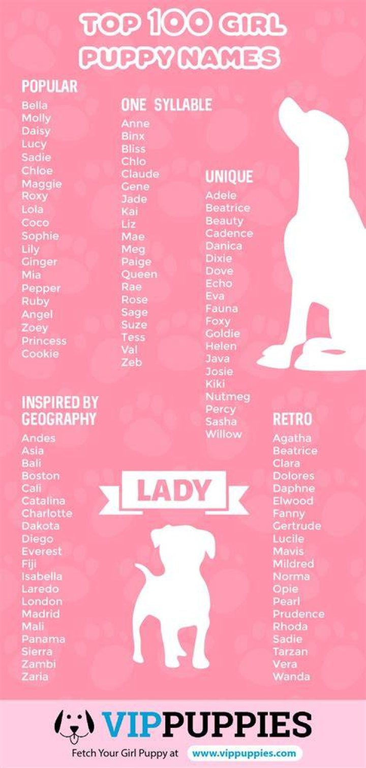 Names Girl, Pet Names, Baby Names 2018, Baby Names Short, Names Baby