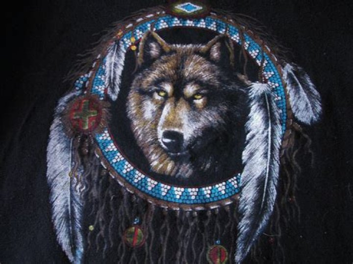 Native American Wolf, Native American Artwork, American Indians
