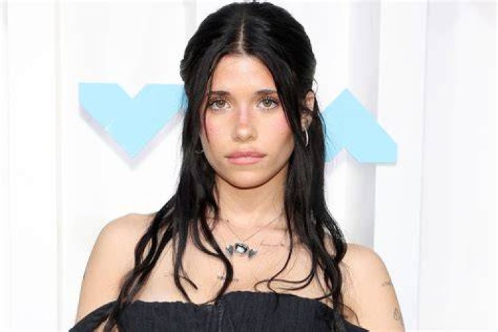 Nessa Flaunts New Relationship Despite Fan Backlash HollyWire