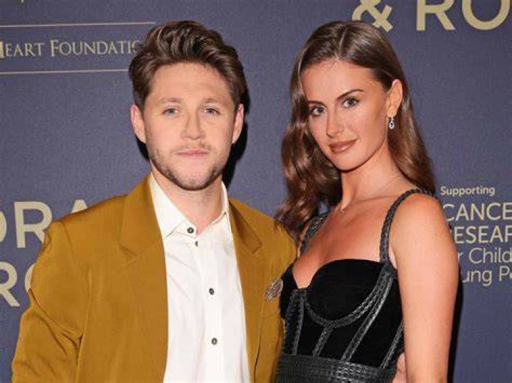 Niall Horan’s Dating History Demi Lovato, Hailee Steinfeld, More