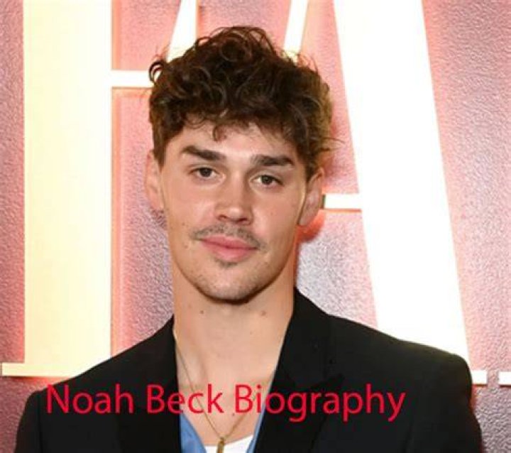 Noah Beck replies to a fan.