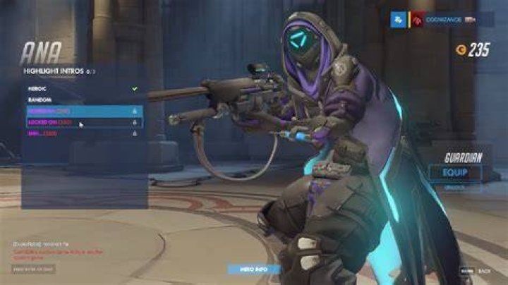 Overwatch Shrike Ana Amari Skin