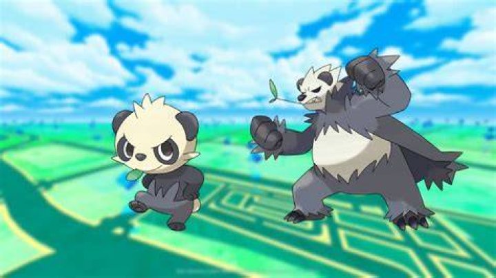 Pancham pokemon challenge