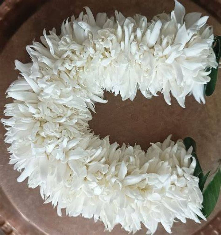 Pin by Sowmya Bongoni on My saves Happy birthday paragraph, Birthday