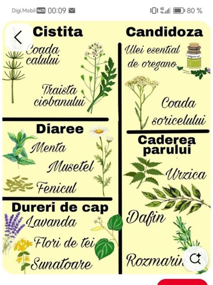 Pin on Idei de &icirc;ncercat