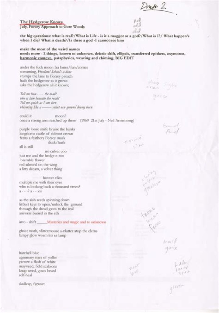 PJ Harvey gifts poem and photograph during visit to Dorset Museum