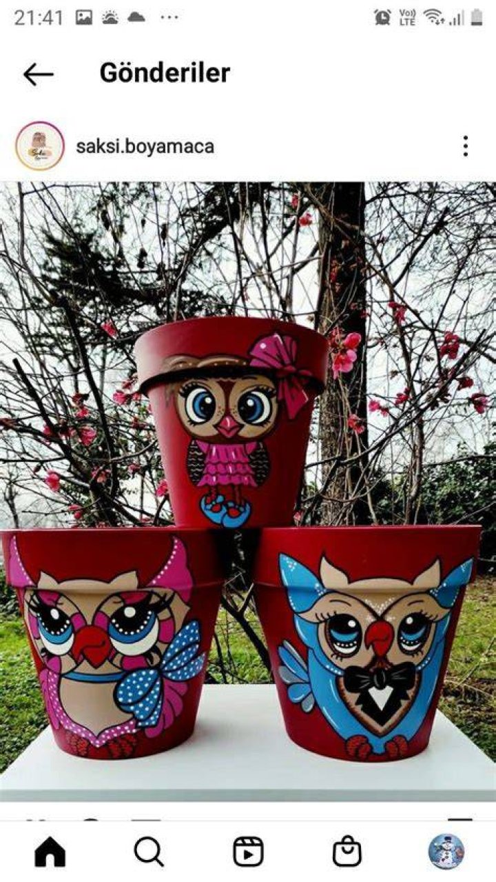 poloski pot adlı kullanıcının Gina Valentina panosundaki Pin