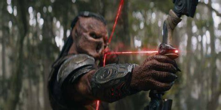 Predator Bow