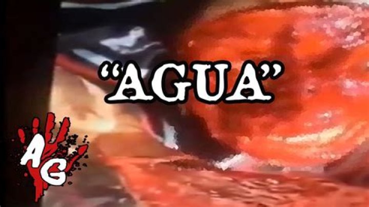Quiero Agua Gore Center An InDepth Exploration Of Its Unique Offerings