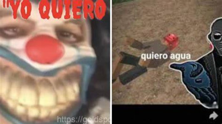Quiero Agua Payaso Gore A Deep Dive Into The Viral Phenomenon