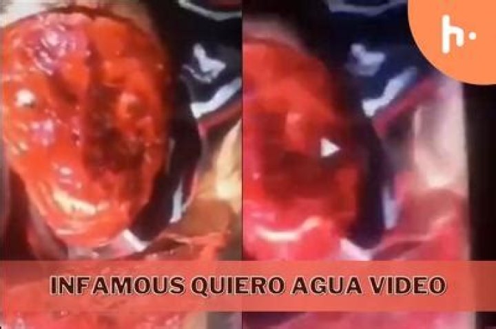 Quiero Agua Payaso Video Gore Original The Unveiling The Shocking Truth