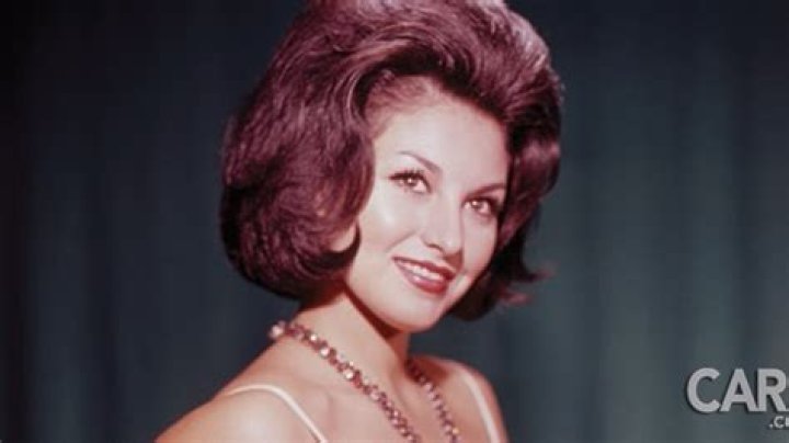 &iquest;Qui&eacute;n fue Sonia Infante, la diva de las telenovelas ochenteras?