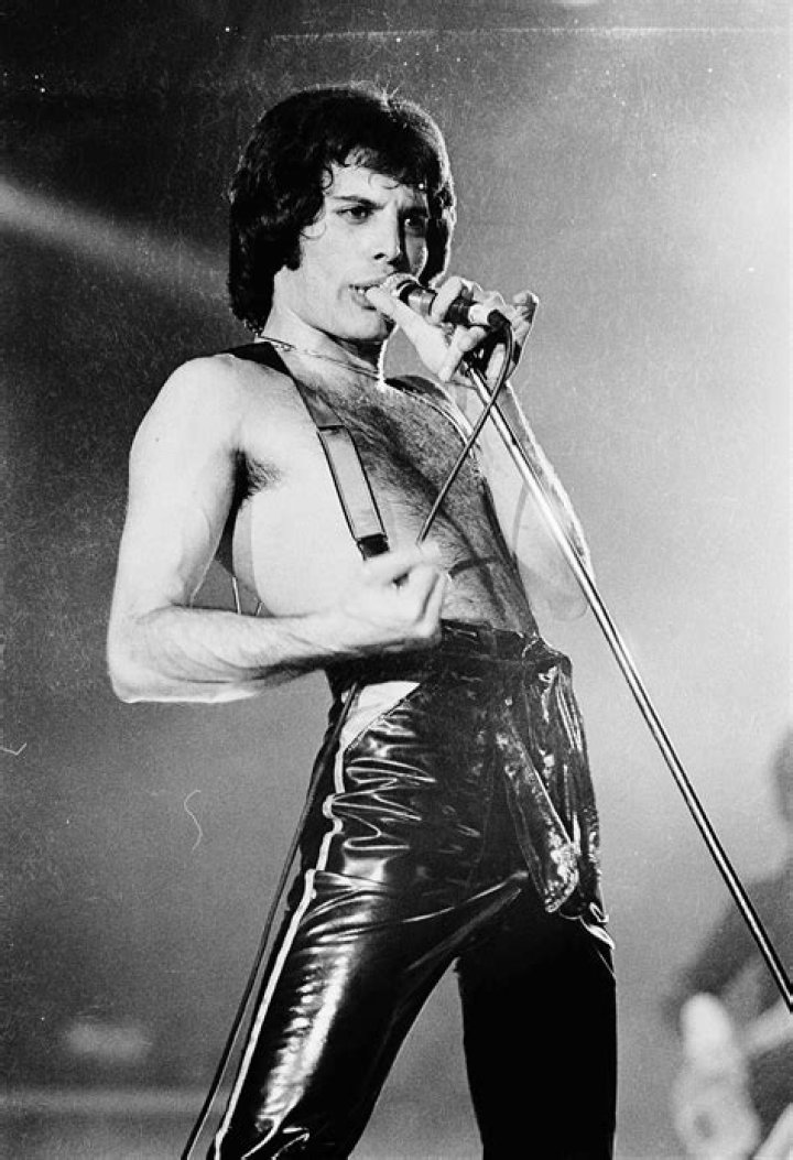 Rare Photos Of Freddie Mercury And His True Love Jim Hutton
