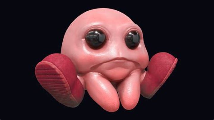 Real Kirby Download Free 3D model by Nwilly_art [81926c4] Sketchfab