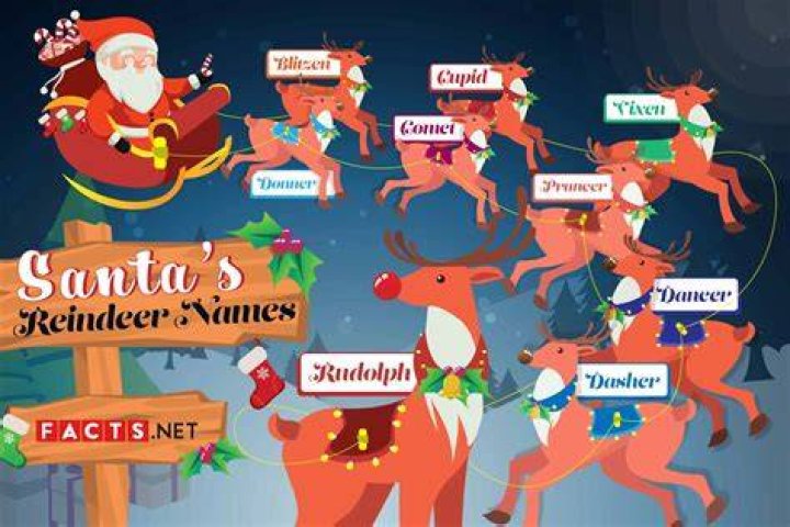 Reindeer Facts, Santas Reindeer Names, Santa Claus Reindeer, Christmas