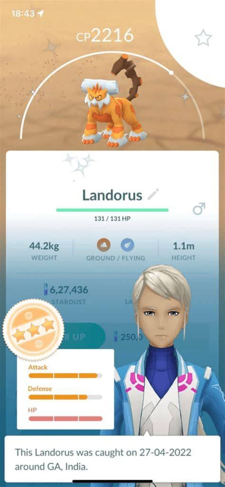 Screenshot of Pokemon Go Landorus raid.