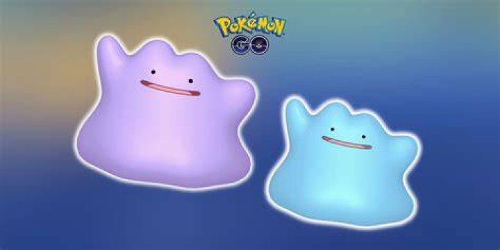 Screenshot of Shiny Ditto in Pokemon Lets Go Pikachu.