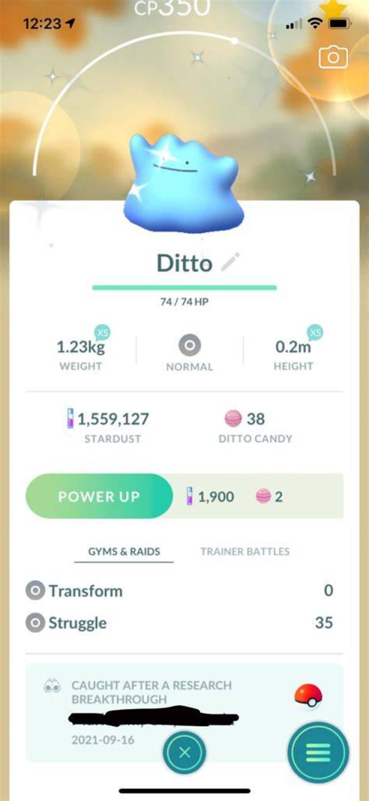 shiny ditto research breakthrough