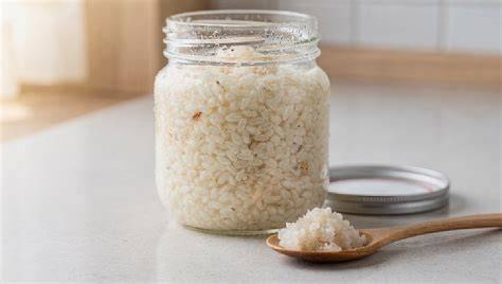 Shio koji for marinating Startercultures.eu