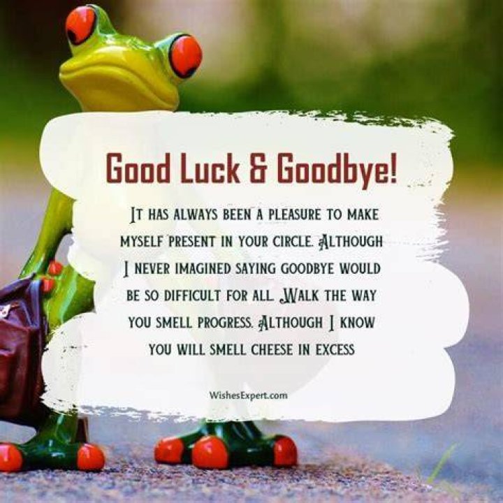 Short Funny Goodbye Quotes FUNNY FAREWELL QUOTES FOR WORK COLLEAGUES