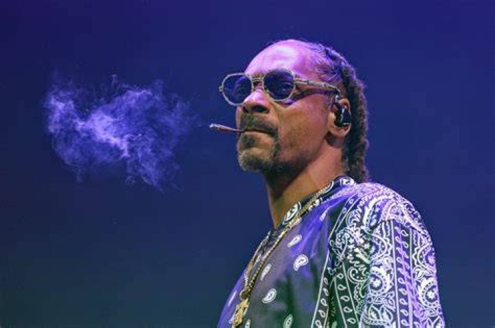 Snoop Dogg blew PR smoke for a fire pit brand did it work? The Drum