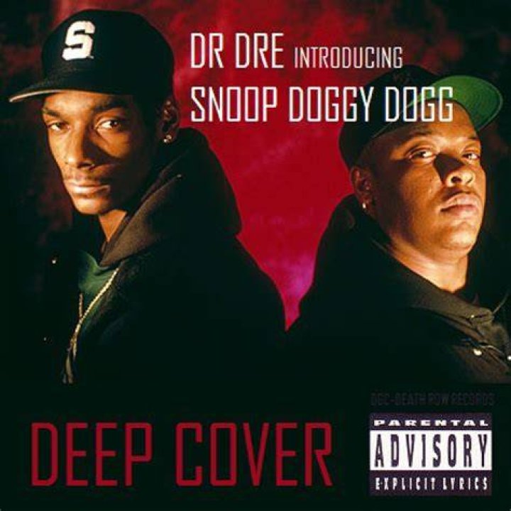 Snoop Dogg Felony A Deep Dive Into His Legal Troubles