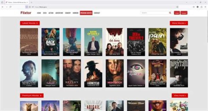 Stream Flixtor Movies Stream or Download HD Movies Online by