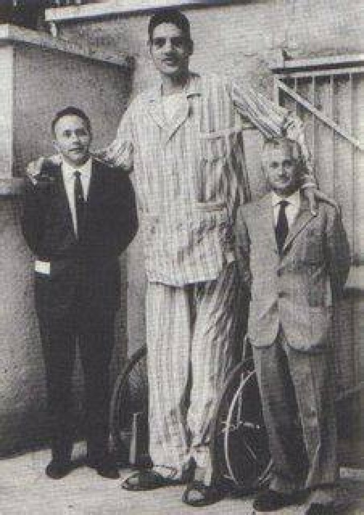 Suleiman Ali Nashnush Tallest Man of Libya [Height & Biography Details]