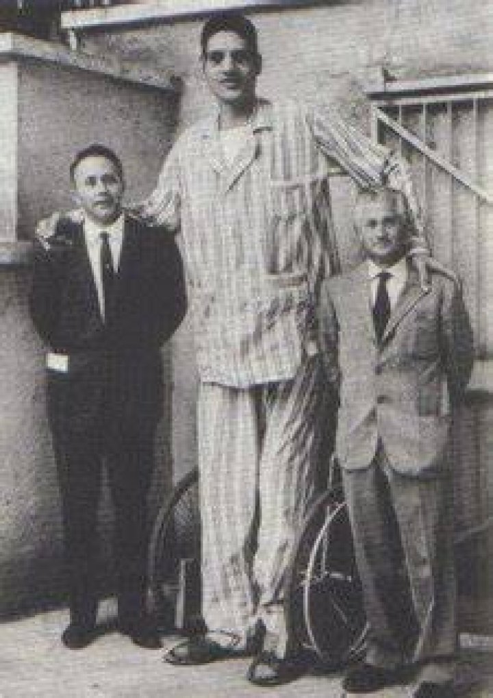 Suleiman Ali Nashnush Tallest People Wiki Fandom