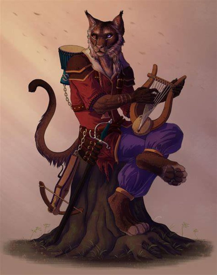 Tabaxi for D&D 5e r/characterdrawing